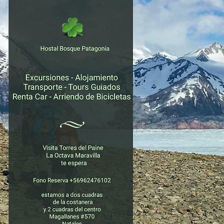 Hostal Bosque Patagonia Puerto Natales Extérieur photo